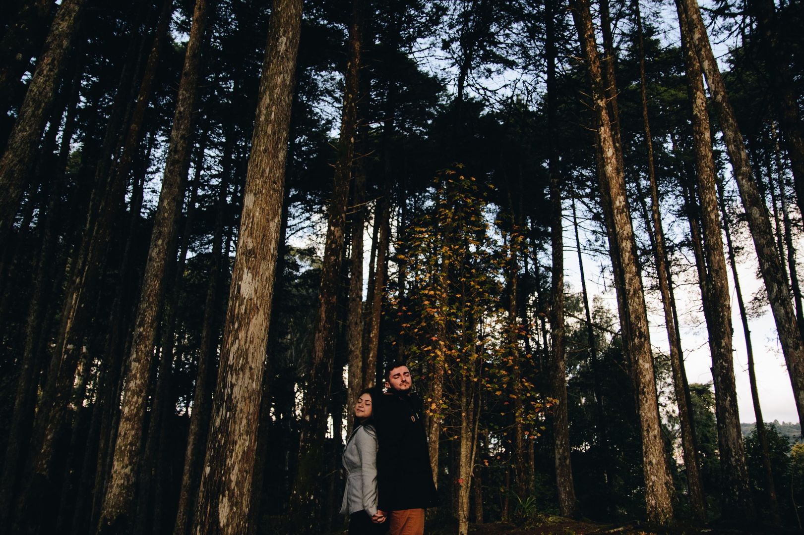 Foto Pré Wedding em Campos do Jordão e região, veja belos locais! Foto Pré Wedding em Campos do Jordão e região, veja belos locais! - Imagem 5